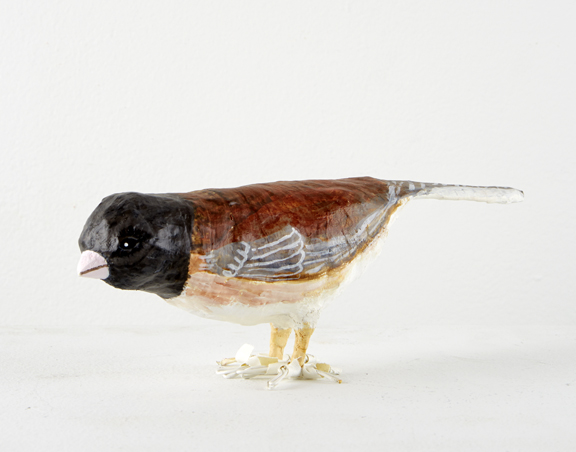Toto Feldman ADA gallery